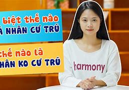 Cty Xkld Vov Hà Nội Mst Cá Nhân Không Cư Trú Là Sao Ạ