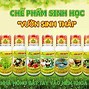 Học Bán Thuốc Bảo Vệ Thực Vật Ở Đâu