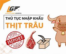 Thủ Tục Nhập Khẩu Lông Cừu Ở Việt Nam Tại Mỹ