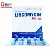 Thuốc Lincomycin 500Mg Có Tác Dụng Gì